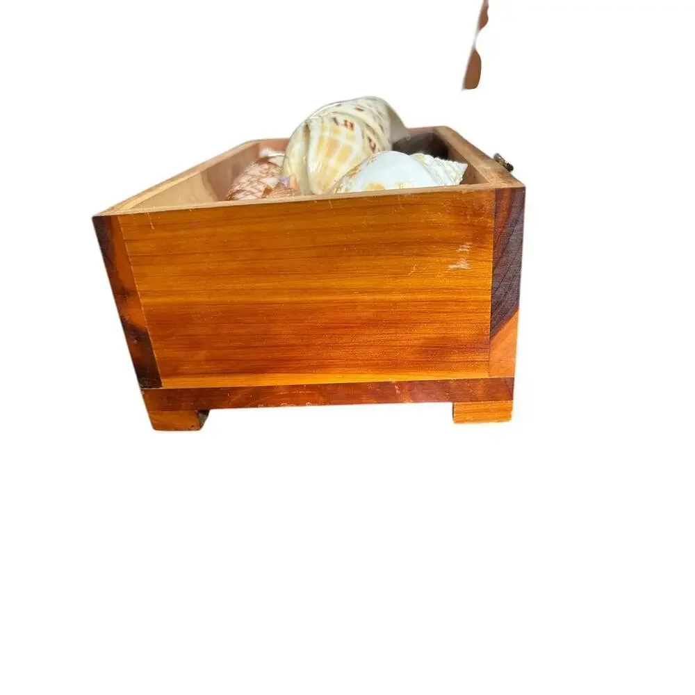 Vintage G. Merz & Son Chicago Wooden Box Treasure Box Full Of Seashells Jewelry